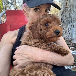 Meet your Posher, Julie